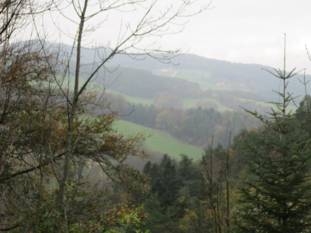 Waldpension Stachl Bromberg Zewnętrze zdjęcie